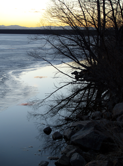 Reflection on the Lake
