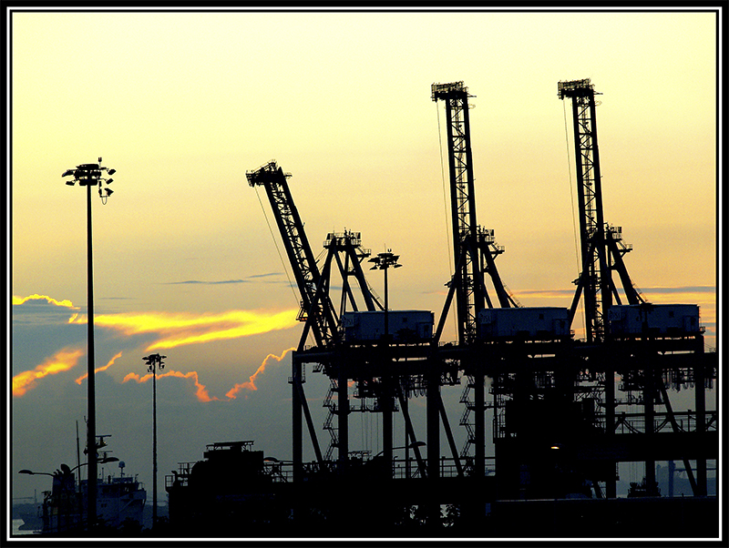 Industrial Giraffes II