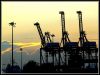 Industrial Giraffes II