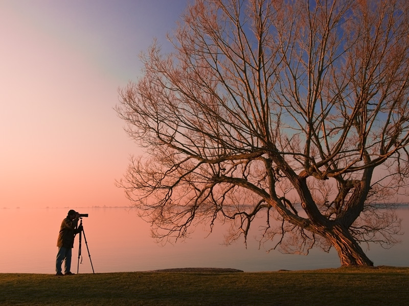 Photographer