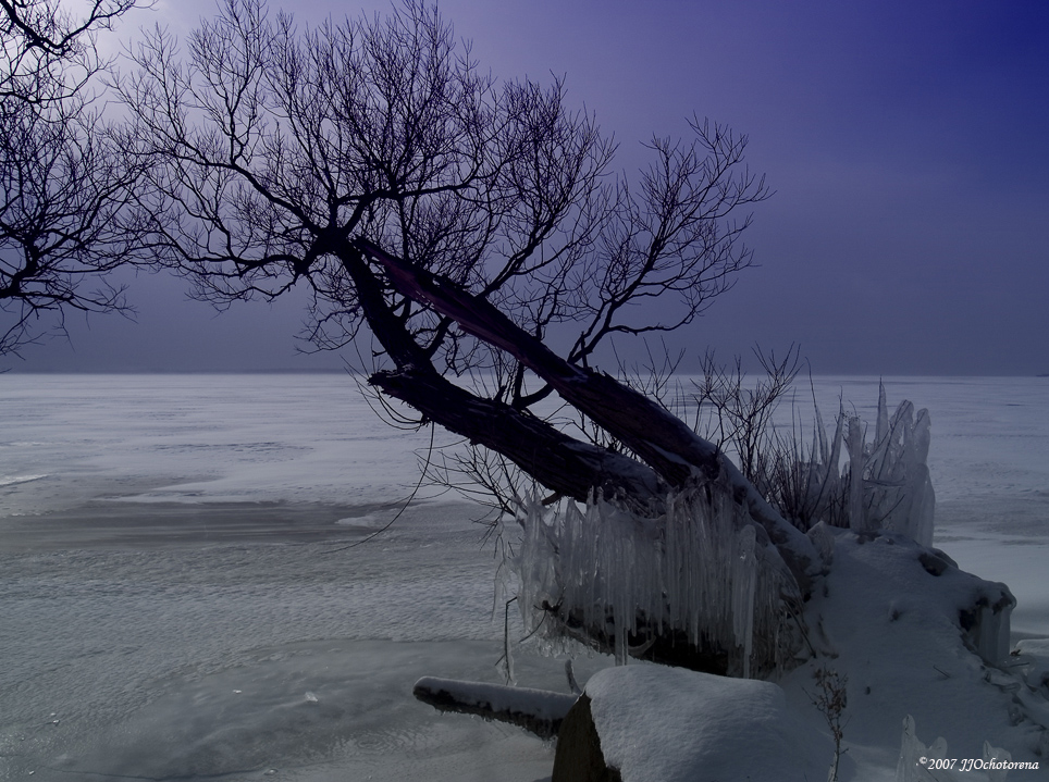 Icy Lakeshore