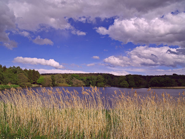 Haddo Loch