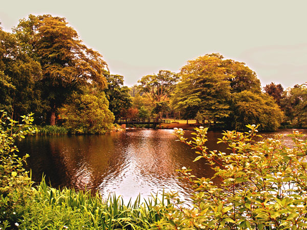 Haddo Loch Bridge