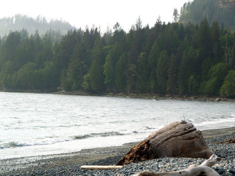 Rocky Shoreline