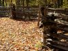 Fall Leaves by Robert Melnyk