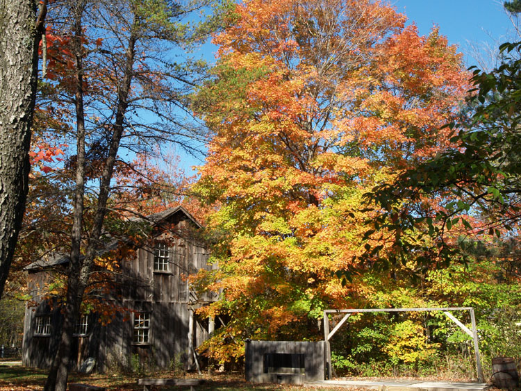A Family Home From The Past