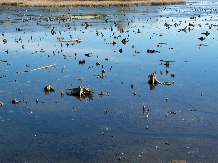 Shallow Water
