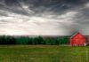 Barn On The Hill by Denny Giacobe