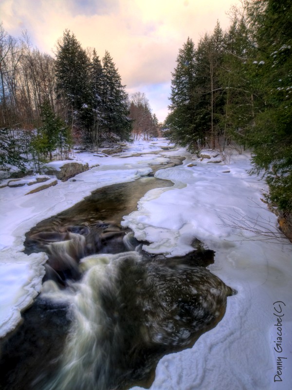 Winter Stream