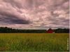 Harvesting Time by Denny Giacobe