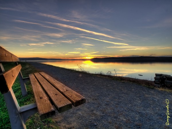 The Bench
