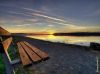 The Bench