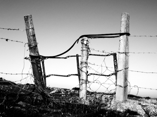 Fence Posts