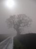 misty morning by Dave humphreys
