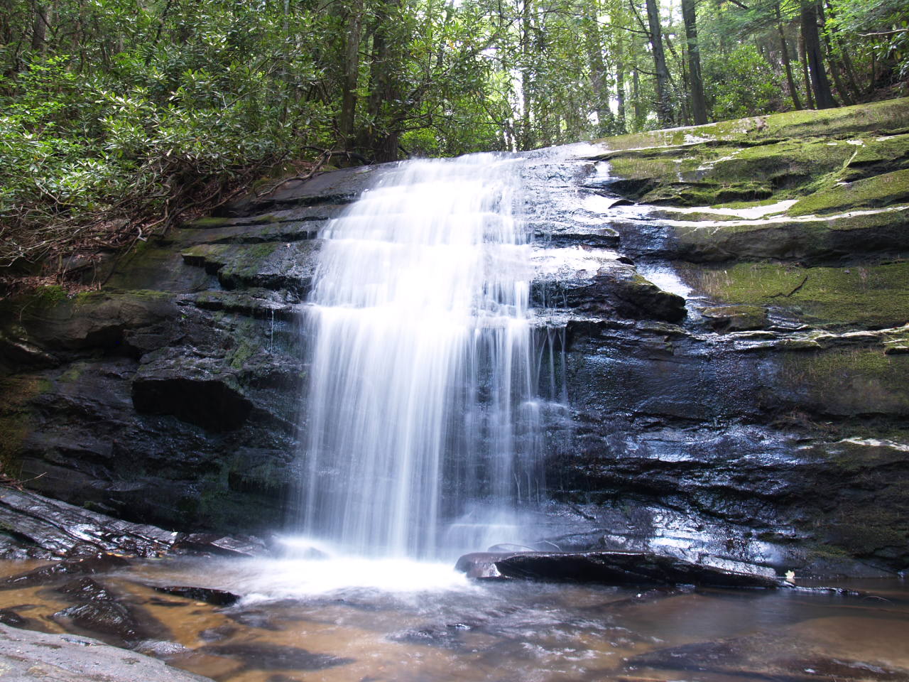 Summer Waterfall