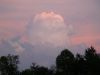 Sailors Delight