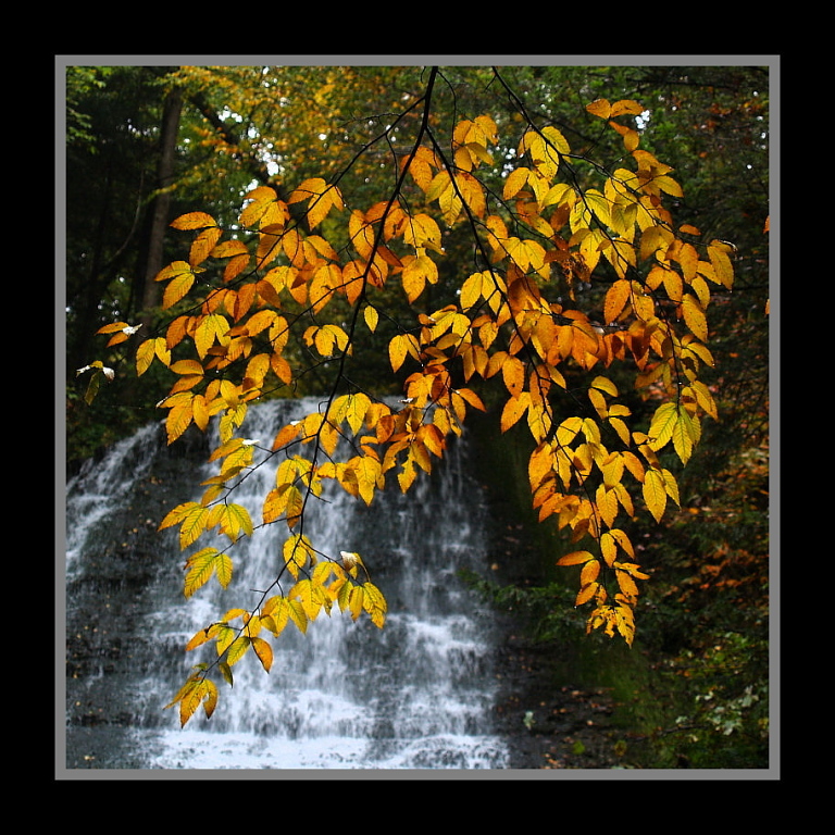 French Hill Falls, Naples, New York