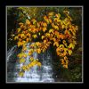 French Hill Falls, Naples, New York
