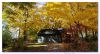 Kawartha Fall by frank julius