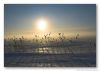 Winterfield by frank julius