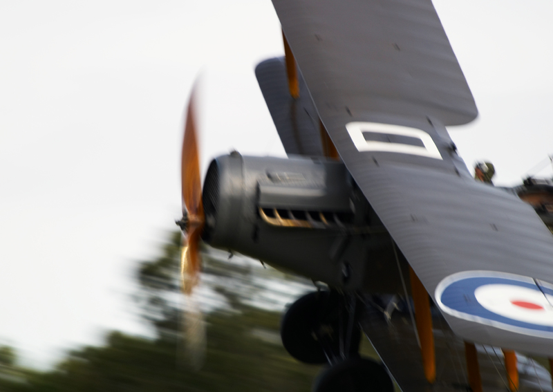 Bristol Fighter (2)