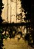 Cottage Door