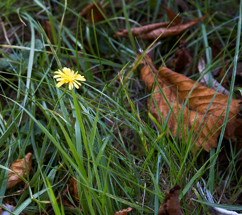 Don't you know it's autumn?