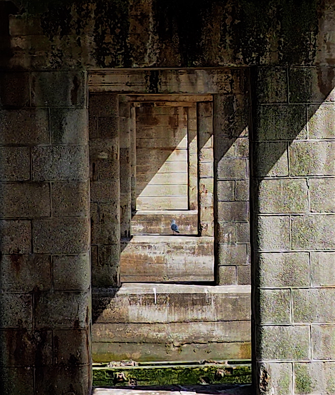 Under the Viaduct