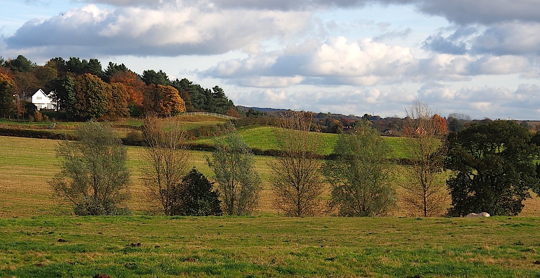 White House in the Woods, Stakenbridge