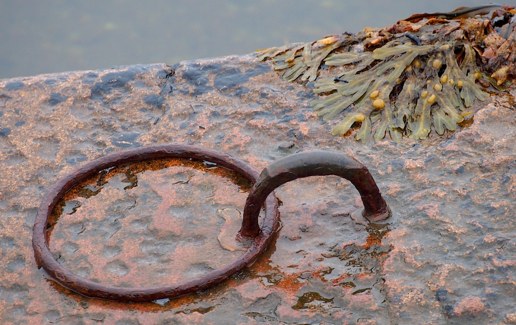 Harbour Wall