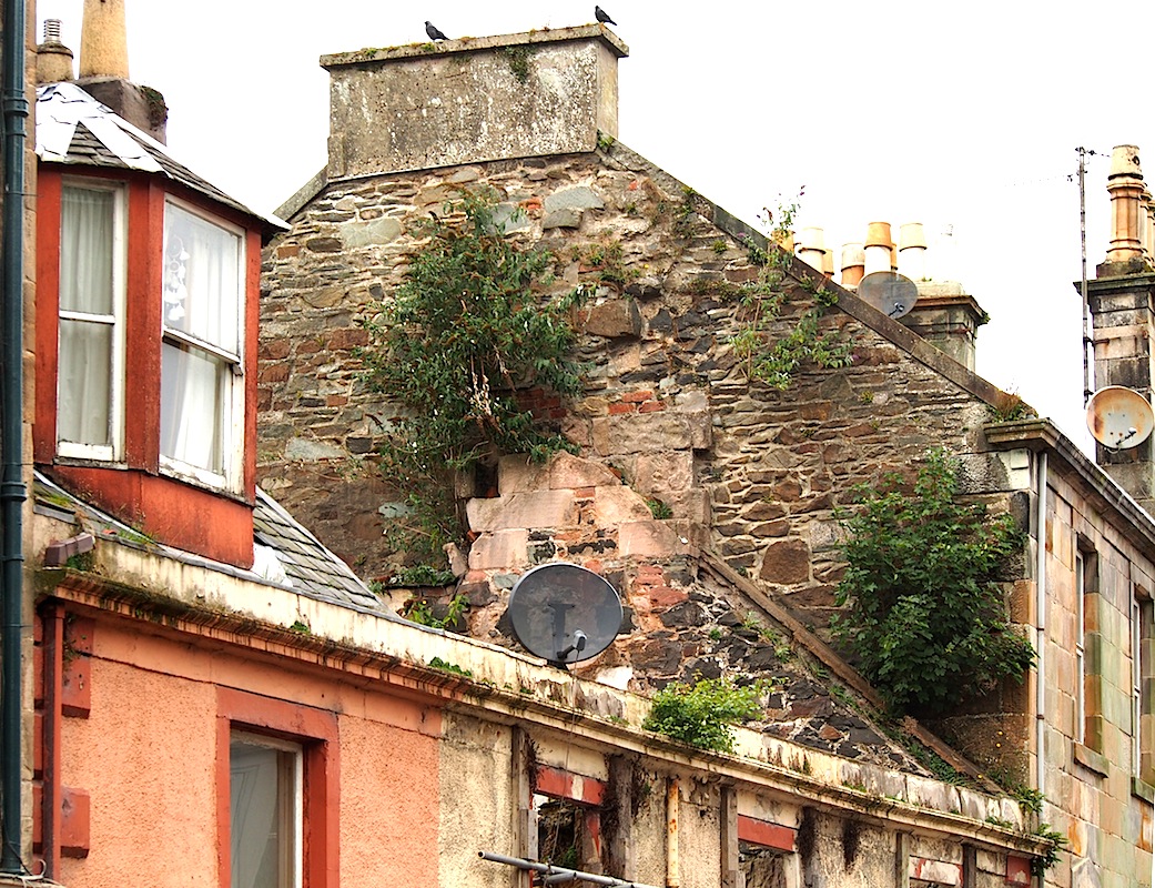 Roof Garden