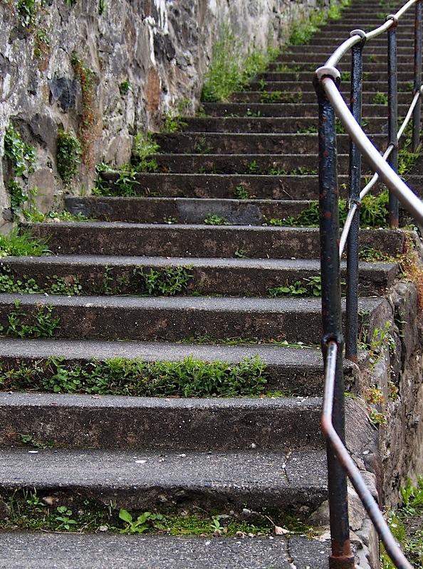 Steps