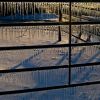 Ice Shadow
