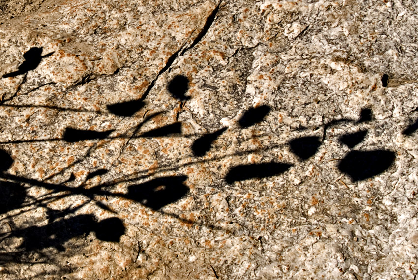 Shadow Rock