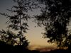 Spider View