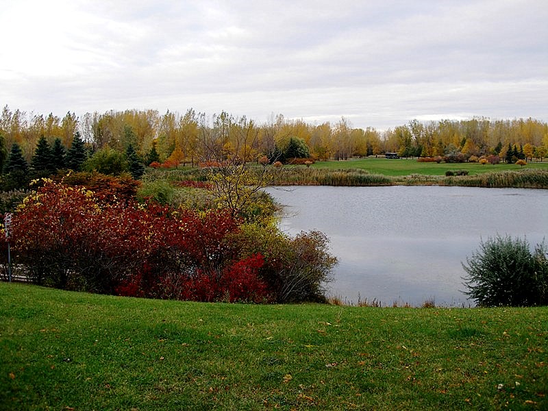 Fall (3)