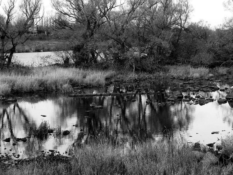 End of the fall (2)