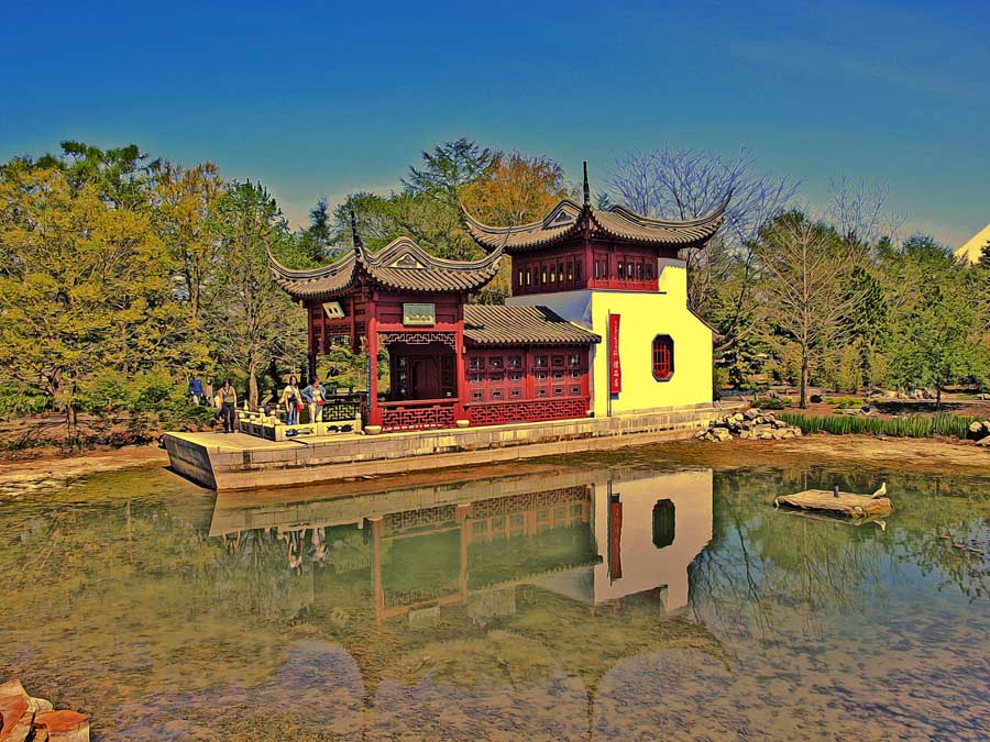 Garden Reflection