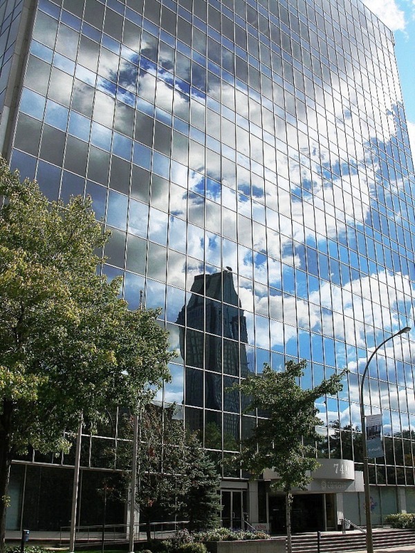 Reflection (3)