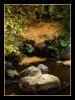 Along the River