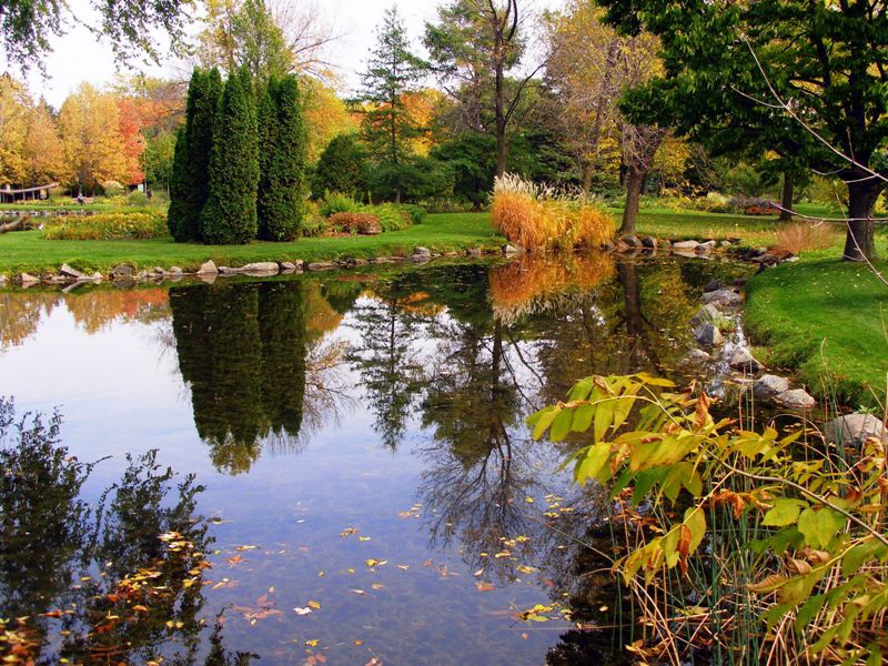 The colors of Fall