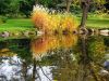 The colors of Fall (4) by Rina Kupfer