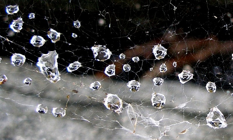 Water drops