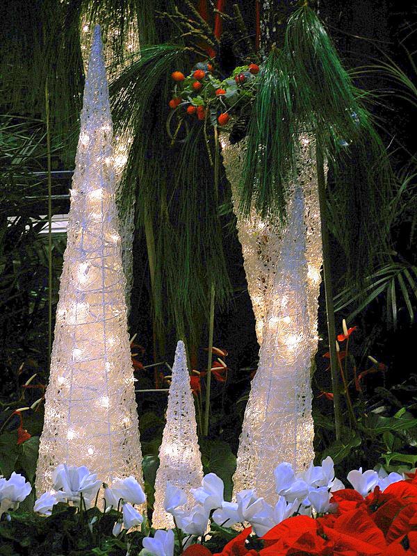 Christmas in Laval Mall (2)