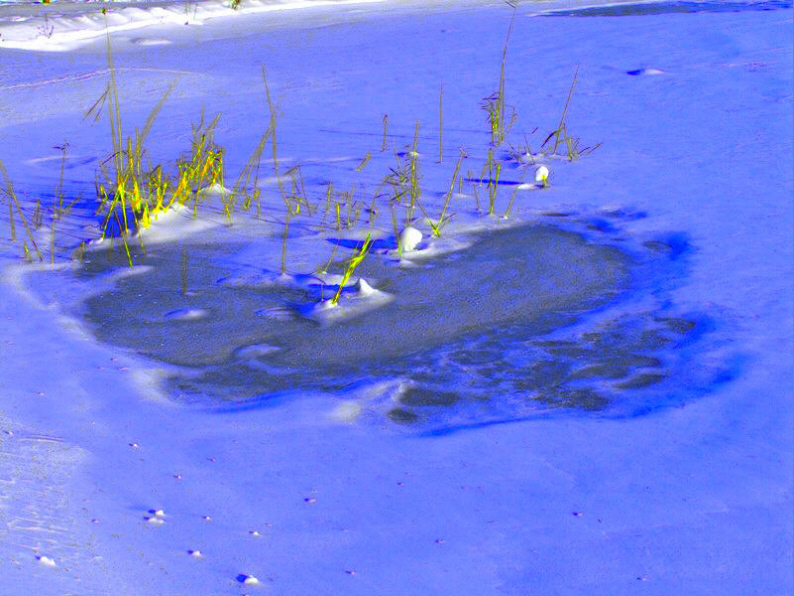 Frozen lake