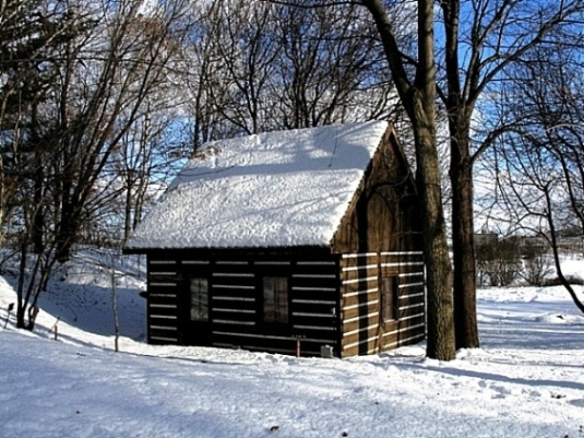A little house in the forest