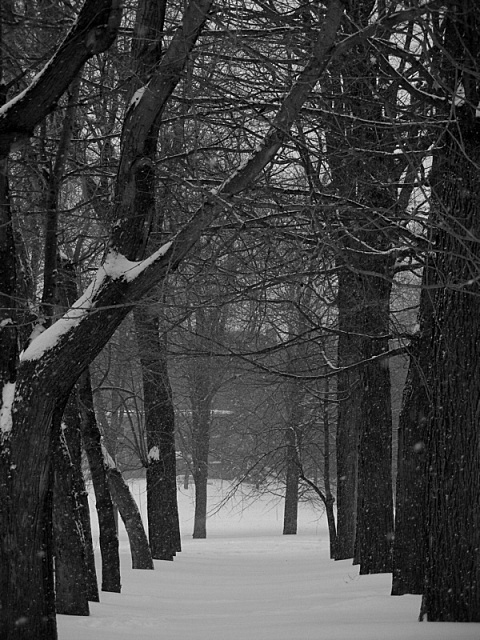 The Tunnel of Love