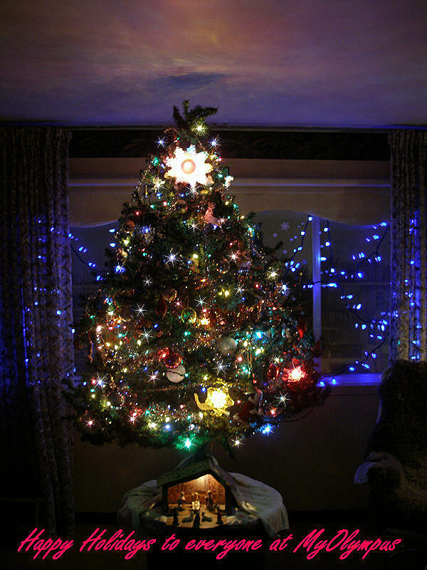 Happy Holidays