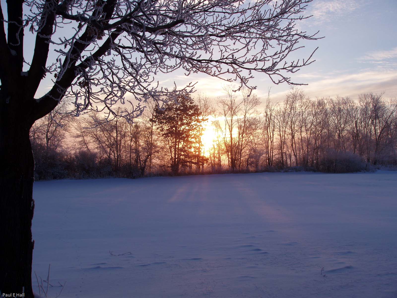 October Sky 2006