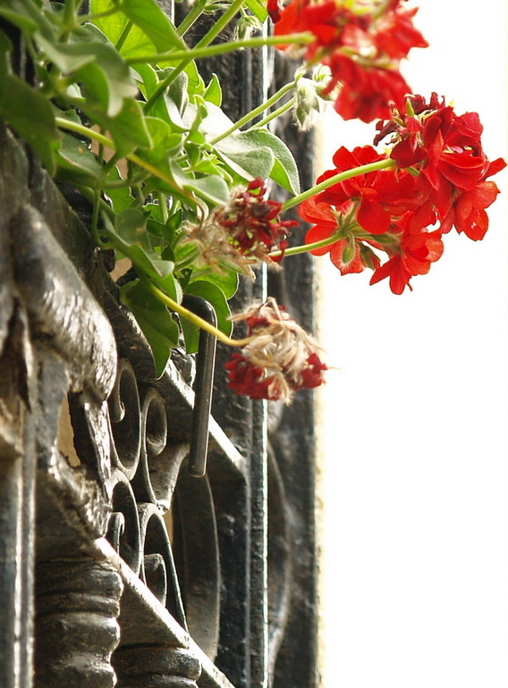 iron work